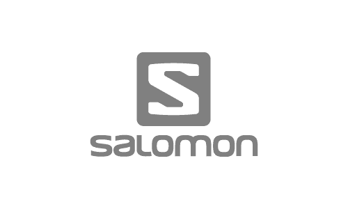 Salomon logo